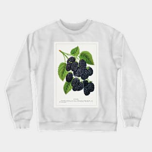 Snyder Blackberry Lithograph (1900) Crewneck Sweatshirt